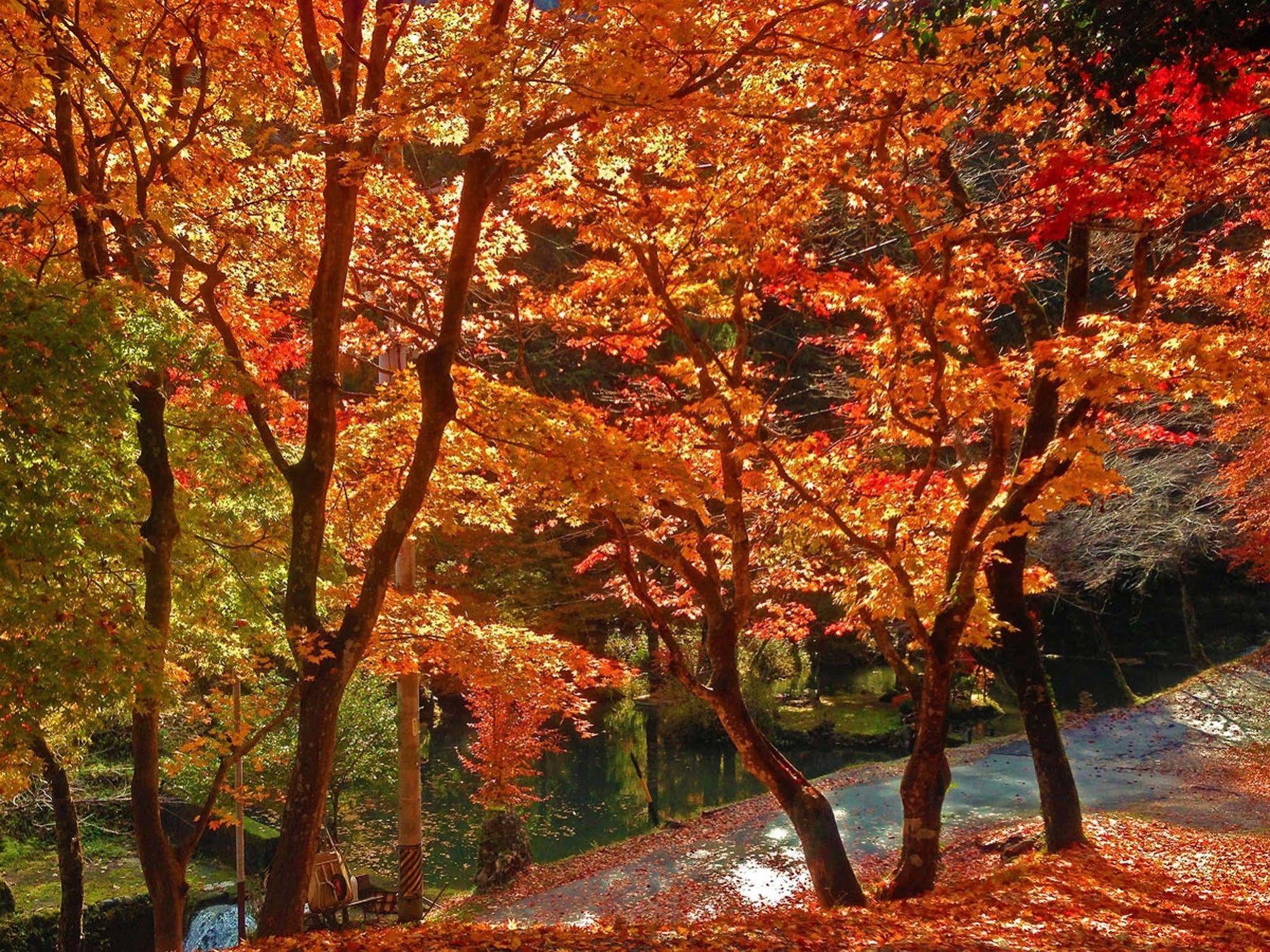 Ryoriryokan Kinshokan Gujo Exterior photo